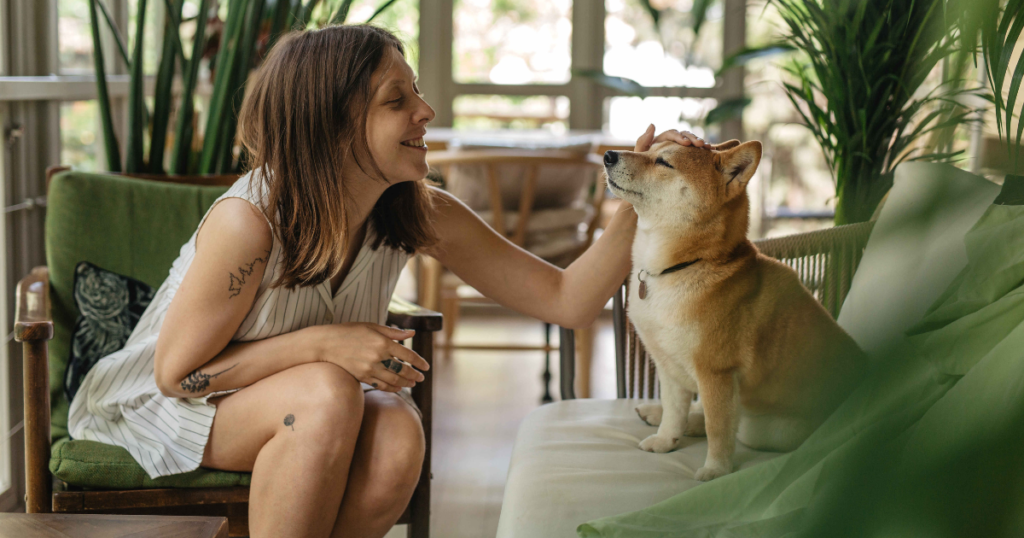 Emotional Support Animal Letter Connecticut